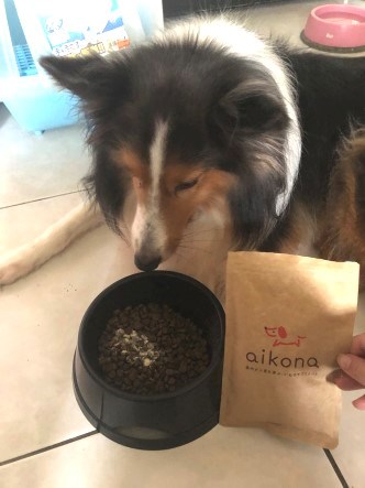女人知己試用大隊,愛可納犬用保健食品,狗狗保健食品,
寵物營養補充,愛可納,aikona犬用保健食品,狗狗腸胃保健,
日本製,90種以上的營養成分,增強免疫力,DNA核酸