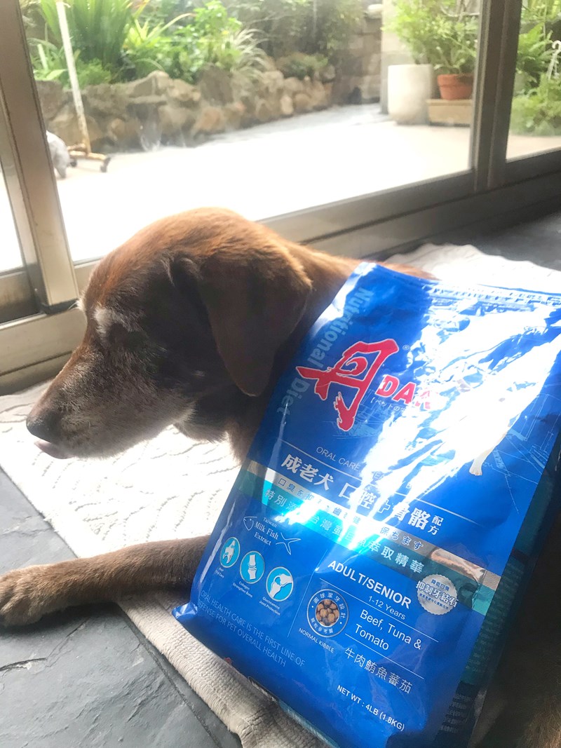 女人知己試用大隊,DAN丹成老犬口腔+骨骼配方 牛肉鮪魚番茄口味,丹DAN,能降低口臭抑制牙結石,口腔+骨骼健康配方,降低口臭,台灣虱目魚萃取精華