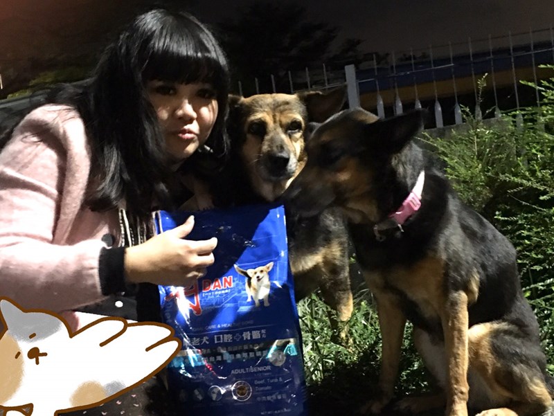 女人知己試用大隊,DAN丹成老犬口腔+骨骼配方 牛肉鮪魚番茄口味,丹DAN,能降低口臭抑制牙結石,口腔+骨骼健康配方,降低口臭,台灣虱目魚萃取精華