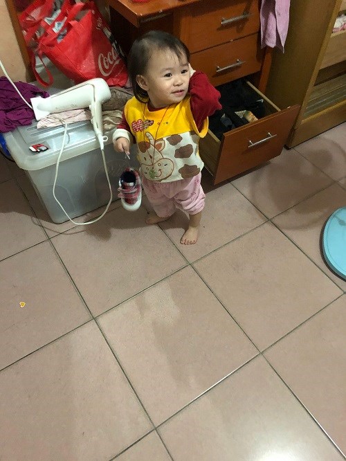 試用