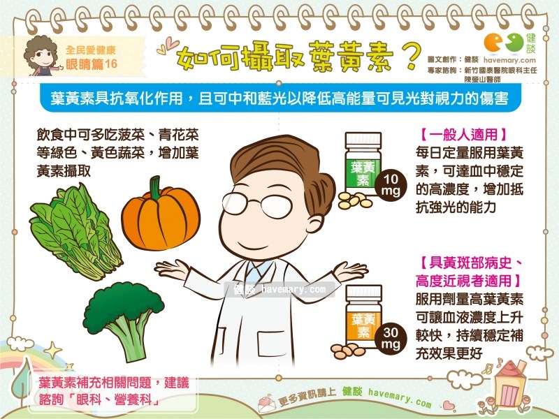 試用