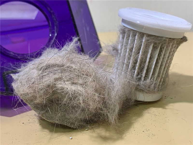 女人知己試用大隊,Mr.Smart小紫UV除蟎吸塵器,小紫除蟎機,小紫UV除蟎機,全台最暢銷的除蟎機,BSMI認證,團購推薦,眾多藝人推薦,PTT鄉民推薦,塵蟎,每八分鐘賣出一台,經常缺貨,搶購,與他廠比較,PK