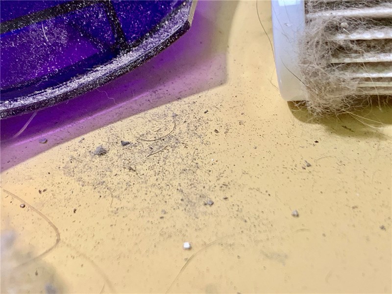 女人知己試用大隊,Mr.Smart小紫UV除蟎吸塵器,小紫除蟎機,小紫UV除蟎機,全台最暢銷的除蟎機,BSMI認證,團購推薦,眾多藝人推薦,PTT鄉民推薦,塵蟎,每八分鐘賣出一台,經常缺貨,搶購,與他廠比較,PK